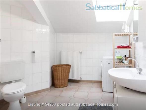 homes for rent in spangdahlem germany